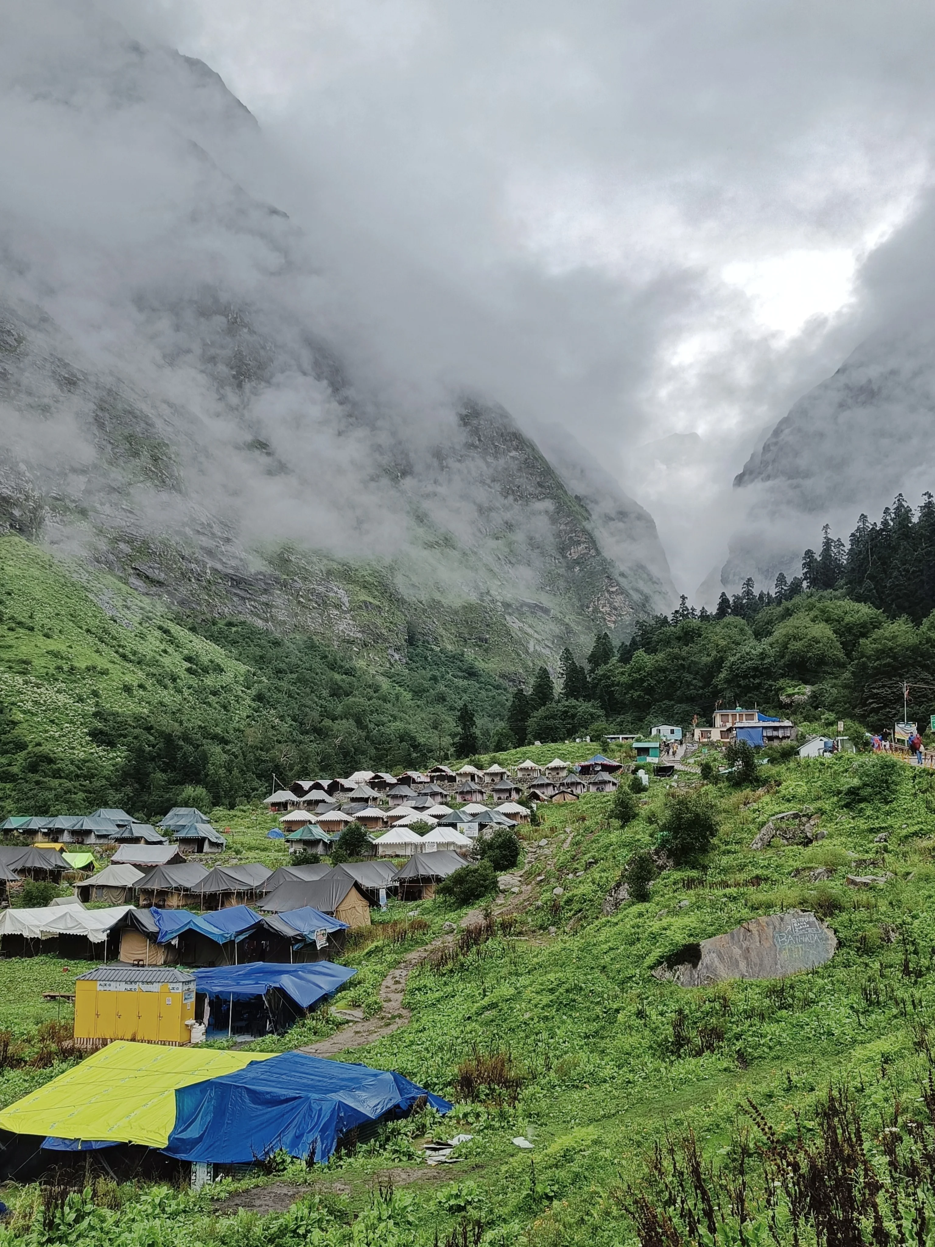 Valley of flowers